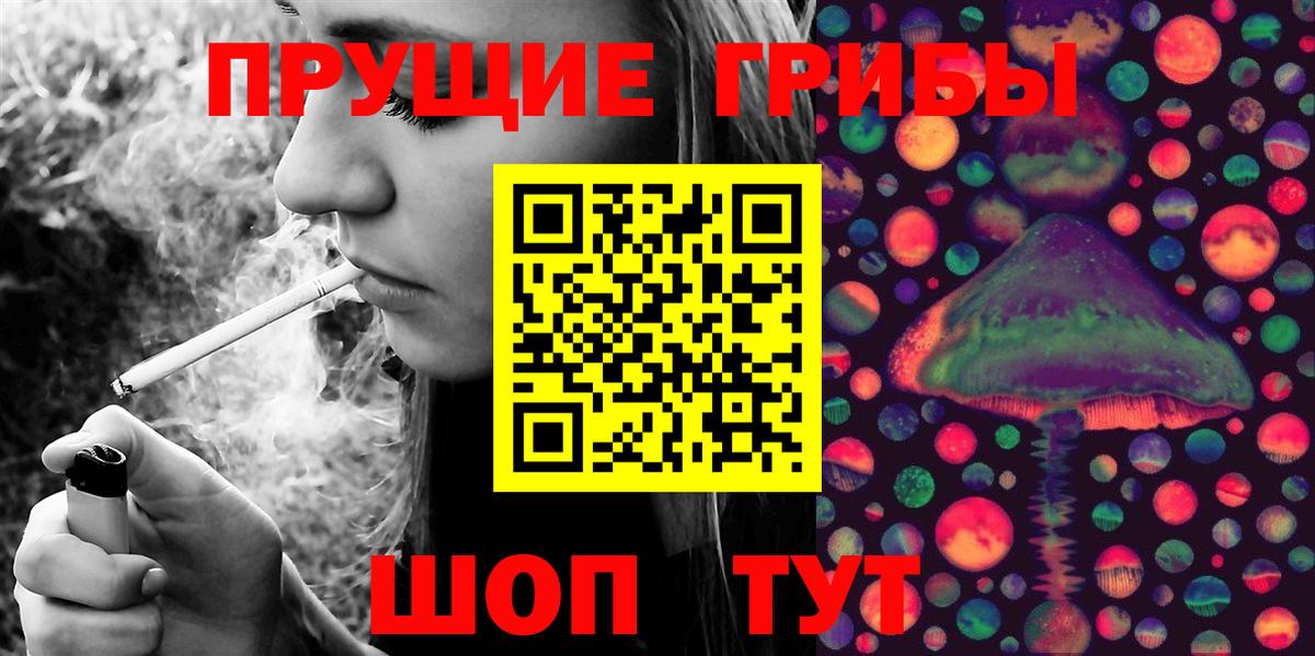 Псилоцибиновые грибы мухоморы  Галлюциногенные грибы Psilocybine cubensis  Строитель  Вход с VPN 